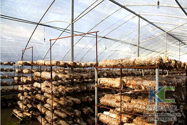 無土栽培，無土栽培技術