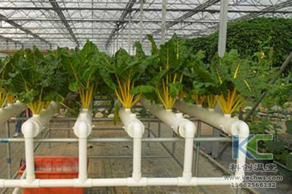無土栽培，無土栽培技術，無土栽培設備