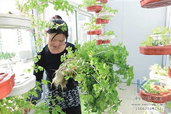 無土栽培，無土栽培技術，無土栽培設備