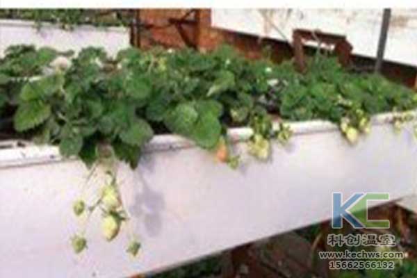 無土栽培，無土栽培技術(shù)，無土栽培設(shè)備