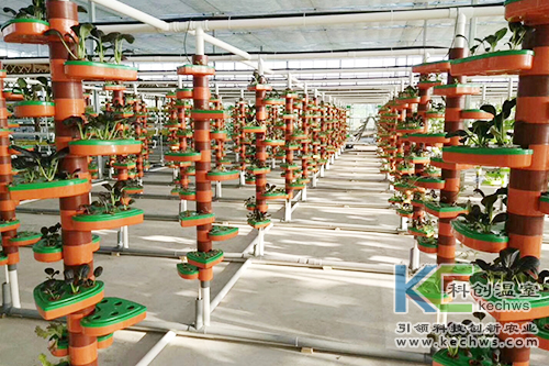 無(wú)土栽培,基質(zhì)栽培,水培