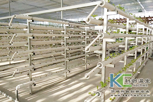 無(wú)土栽培,基質(zhì)栽培,水培