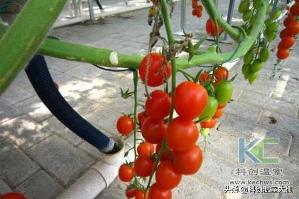 無土栽培，無土栽培技術(shù)，無土栽培設(shè)備