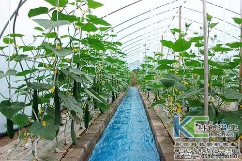 無土栽培，無土栽培技術(shù)，無土栽培設(shè)備