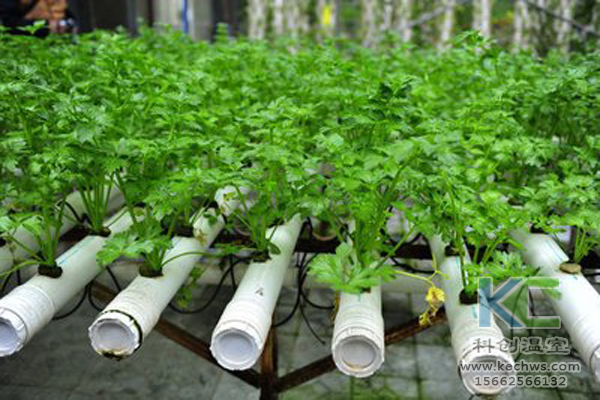 無土栽培,無土栽培技術,無土栽培設備