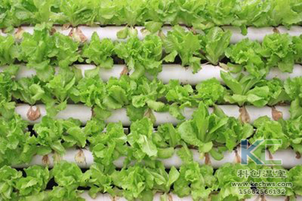 無土栽培,無土栽培技術,無土栽培設備