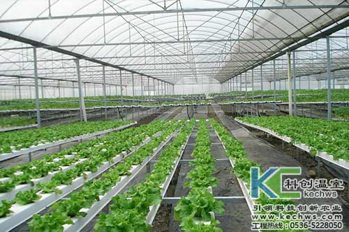 無(wú)土栽培，無(wú)土栽培技術(shù)，無(wú)土栽培設(shè)備