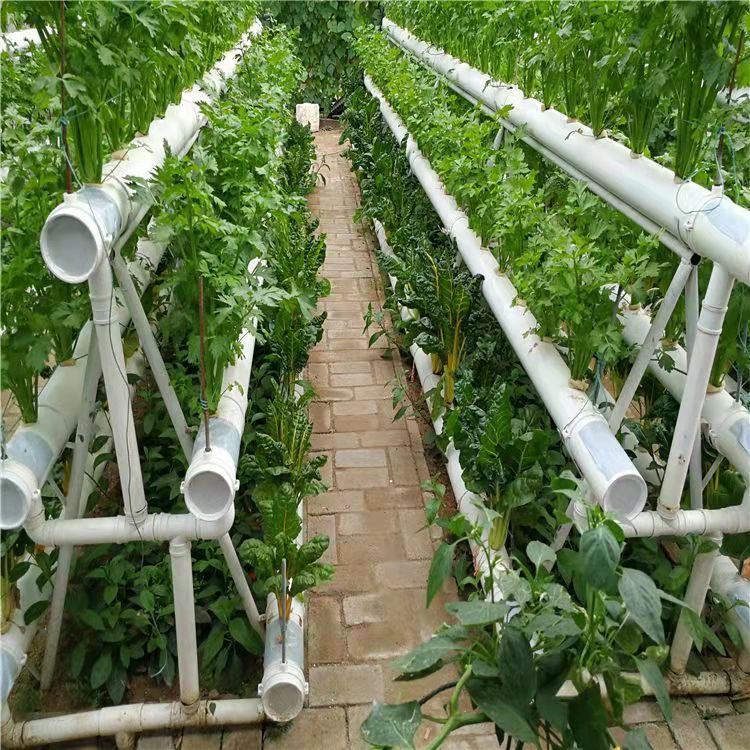 無土栽培，無土栽培技術(shù)，無土栽培設(shè)備