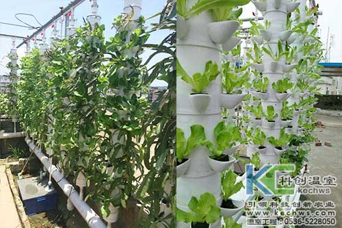 立柱栽培，無土栽培，天空農(nóng)場(chǎng)