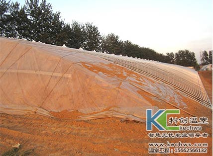 無土栽培，無土栽培技術，無土栽培設備