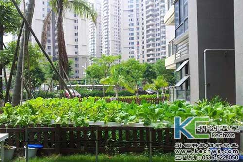 無土栽培，無土栽培技術(shù)，無土栽培設(shè)備