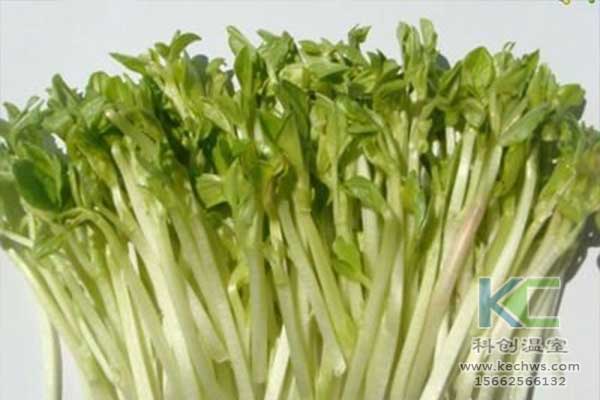 無土栽培，無土栽培基質