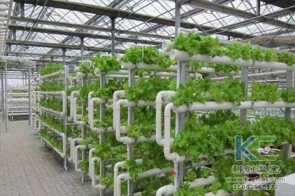無土栽培，無土栽培技術(shù)，無土栽培設(shè)備