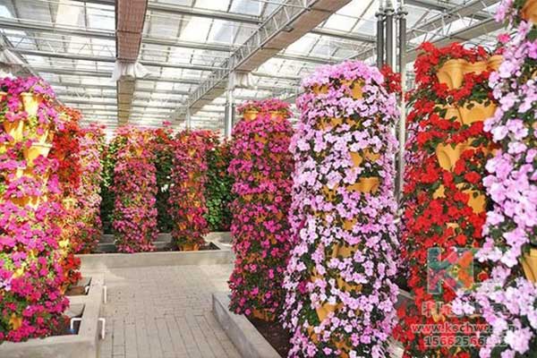 無土栽培，無土栽培技術，無土栽培設備