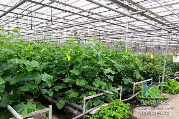 無土栽培，無土栽培技術(shù)，無土栽培設(shè)備