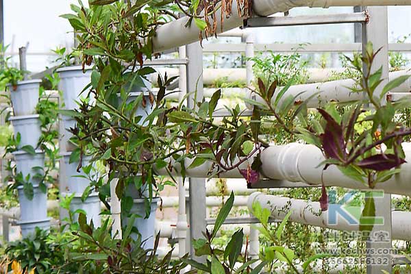 無土栽培，無土栽培技術(shù)，無土栽培設(shè)備