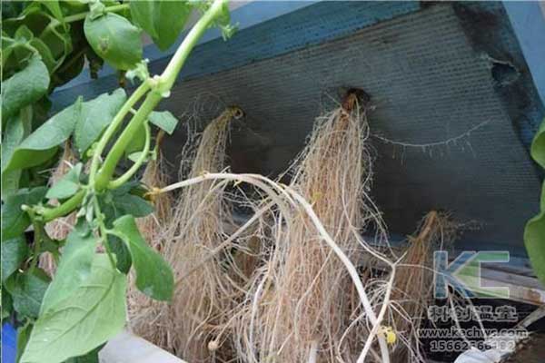 無土栽培，無土栽培技術，無土栽培設備