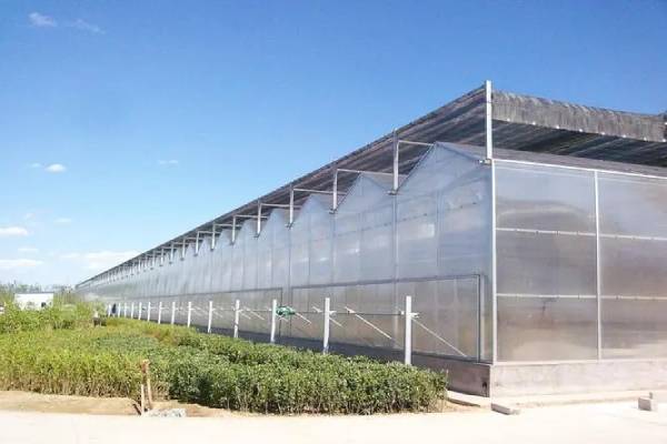 無土栽培，無土栽培技術(shù)，無土栽培設(shè)備