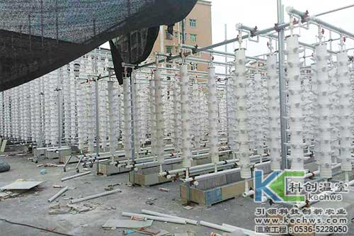 立柱栽培，無土栽培，天空農(nóng)場(chǎng)