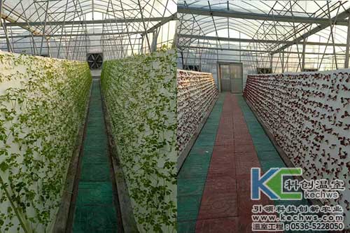 無土栽培，無土栽培技術，無土栽培設備