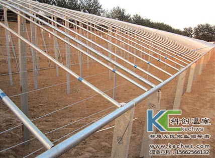 無土栽培，無土栽培技術，無土栽培設備