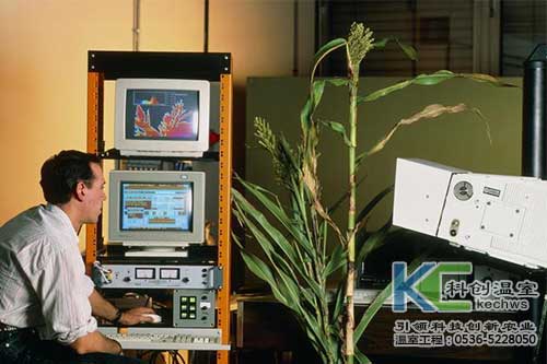 無土栽培，無土栽培技術(shù)，無土栽培設(shè)備