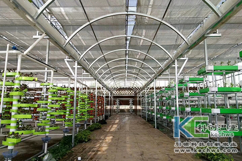 無(wú)土栽培,基質(zhì)栽培,水培