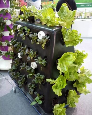 無(wú)土栽培，無(wú)土栽培技術(shù)，無(wú)土栽培設(shè)備