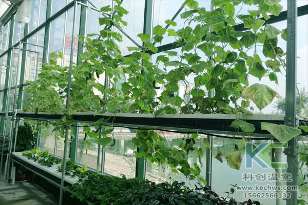 智能溫室無土栽培,無土栽培技術,溫室大棚,無土栽培