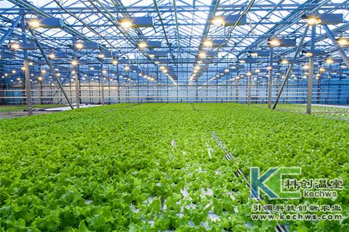 無土栽培，無土栽培技術(shù)，無土栽培設(shè)備