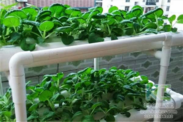 無土栽培，無土栽培技術，無土栽培設備