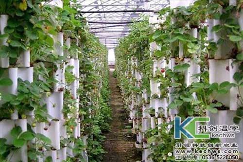 無土栽培，無土栽培技術，無土栽培設備