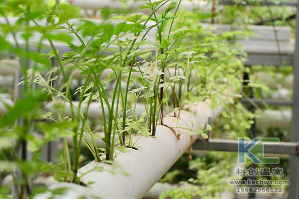 無土栽培，無土栽培技術