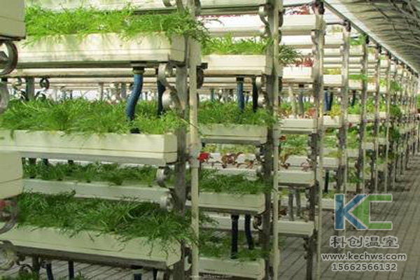 無土栽培，無土栽培技術(shù)，無土栽培設(shè)備