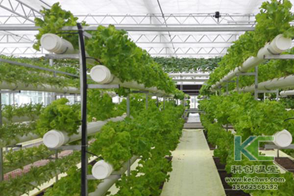 無土栽培，無土栽培技術，無土栽培設備