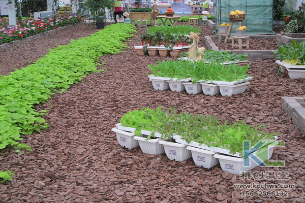 無土栽培，無土栽培技術，無土栽培設備