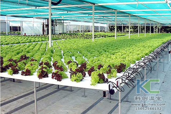 無土栽培，無土栽培技術，無土栽培設備