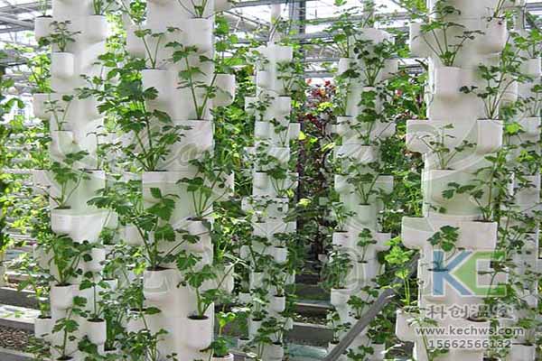 無土栽培技術(shù)，無土栽培設(shè)備，無土栽培，溫室大棚