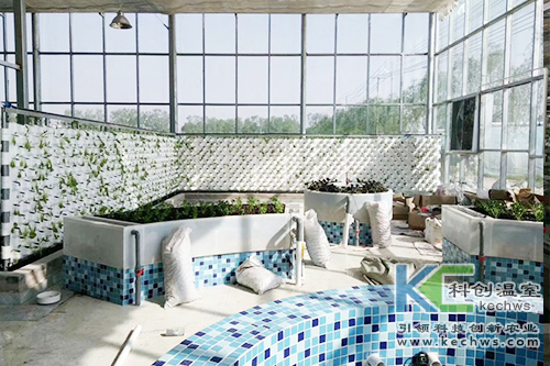 無(wú)土栽培,基質(zhì)栽培,水培