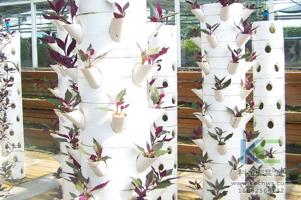 無土栽培，無土栽培技術，無土栽培設備