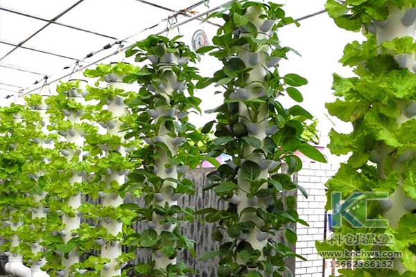 無土栽培，無土栽培技術，無土栽培設備