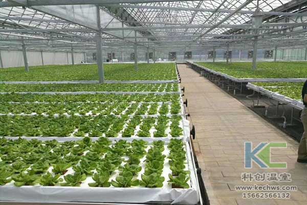 無(wú)土栽培，無(wú)土栽培技術(shù)，無(wú)土栽培設(shè)備