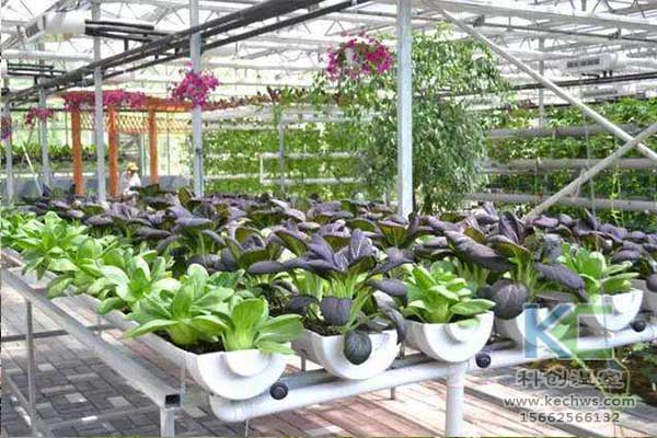 無土栽培，無土栽培技術，無土栽培設備