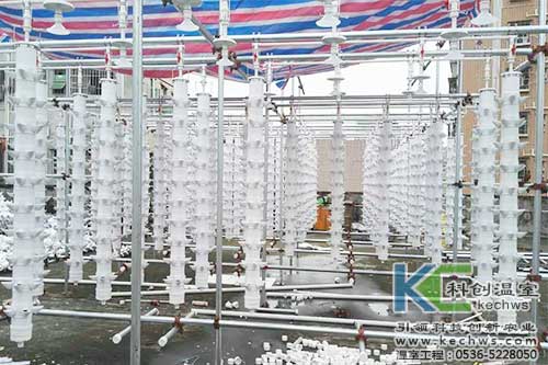 立柱栽培，無土栽培，天空農(nóng)場(chǎng)