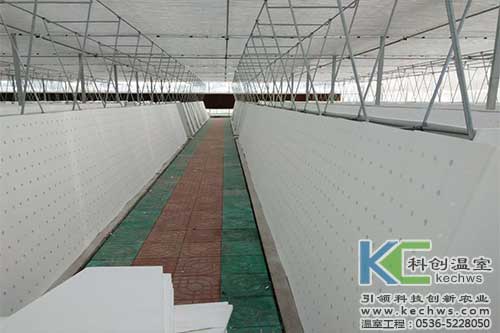 氣霧栽培，無土栽培