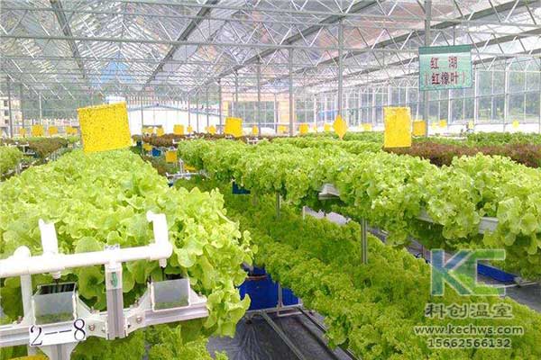 無(wú)土栽培，無(wú)土栽培技術(shù)，無(wú)土栽培設(shè)備