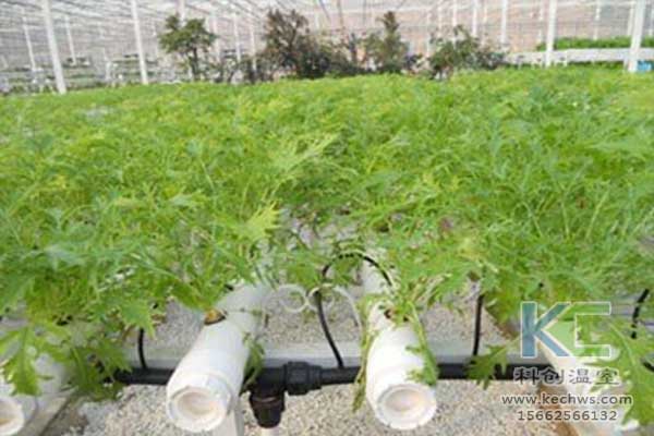 無(wú)土栽培，無(wú)土栽培技術(shù)，無(wú)土栽培設(shè)備