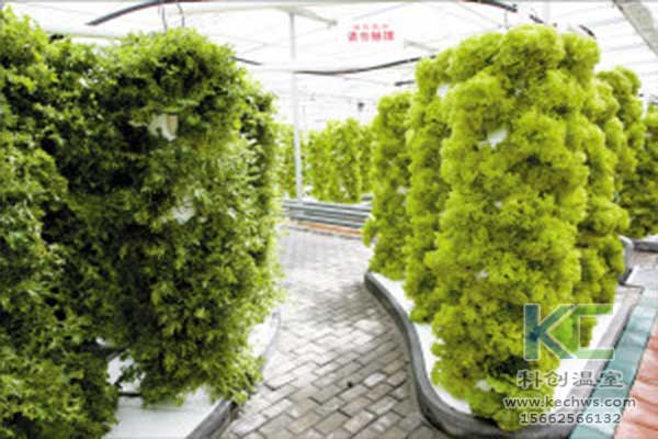 無土栽培，無土栽培技術，無土栽培設備