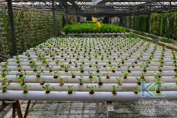 無土栽培，無土栽培技術(shù)，無土栽培設(shè)備