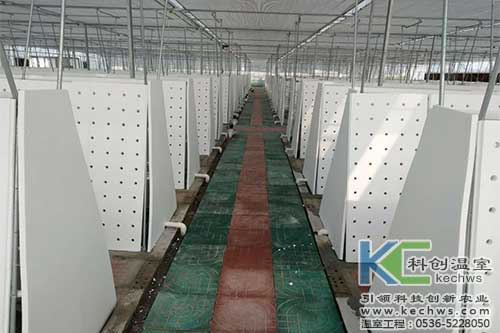 氣霧栽培，無土栽培